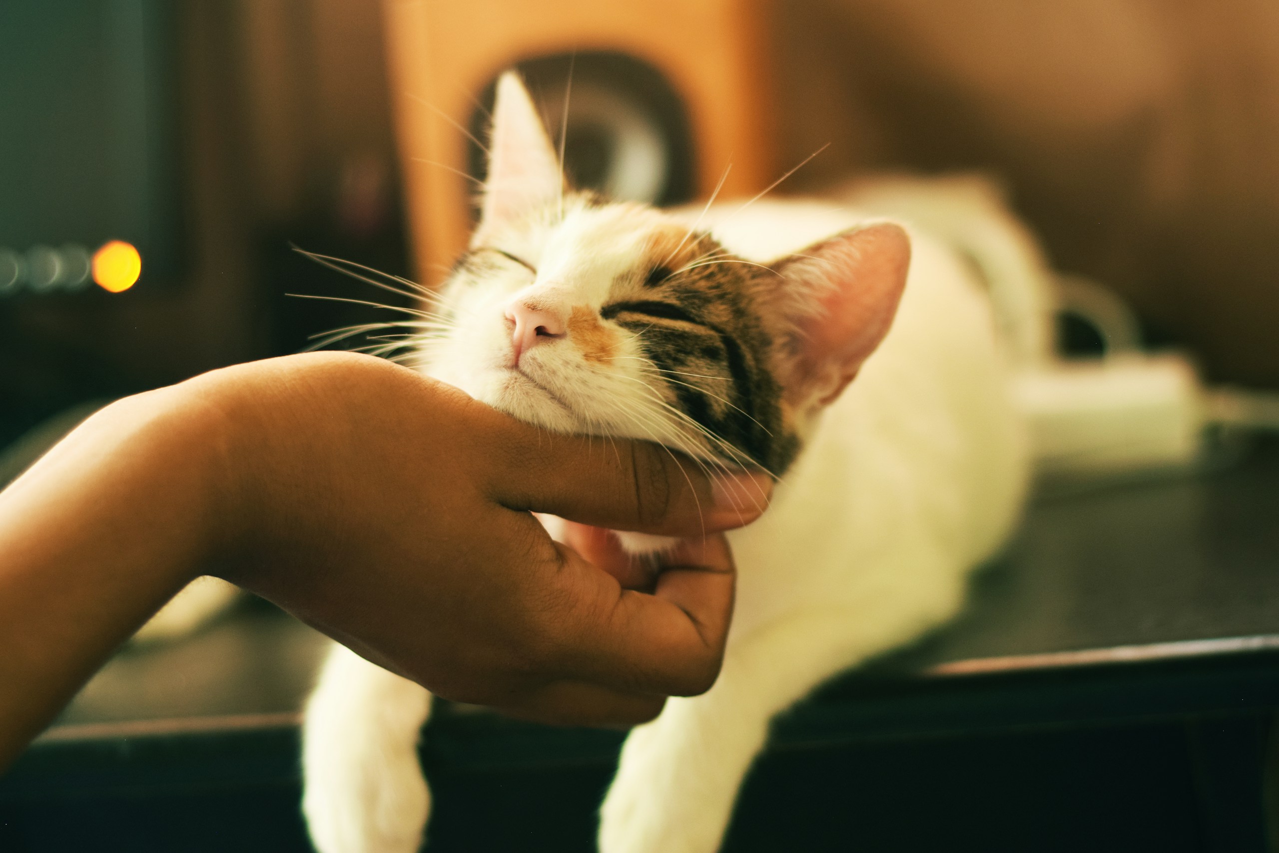 Yerlin Matu/Unsplash