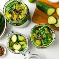 Avocado_studio/Shutterstock