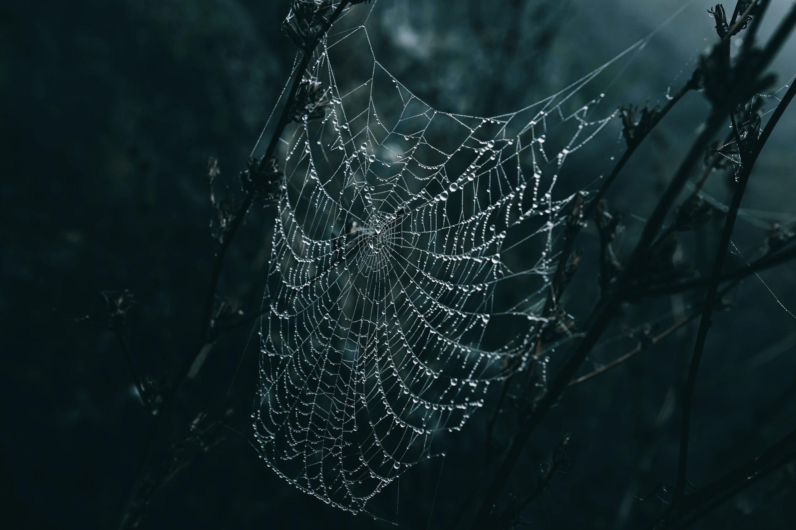 Wyxina Tresse/Unsplash
