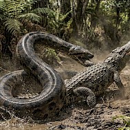 A tartalom mesters&eacute;ges k&eacute;palkot&oacute; eszk&ouml;z seg&iacute;ts&eacute;g&eacute;vel k&eacute;sz&uuml;lt / Shutterstock AI