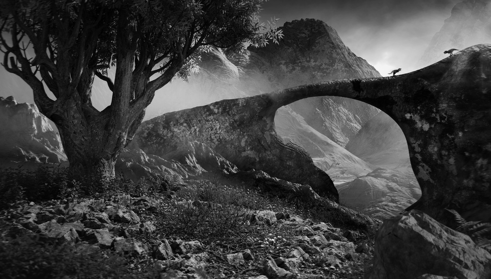 Mikael Damkier/Shutterstock