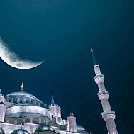 Sener Dagasan/Shutterstock