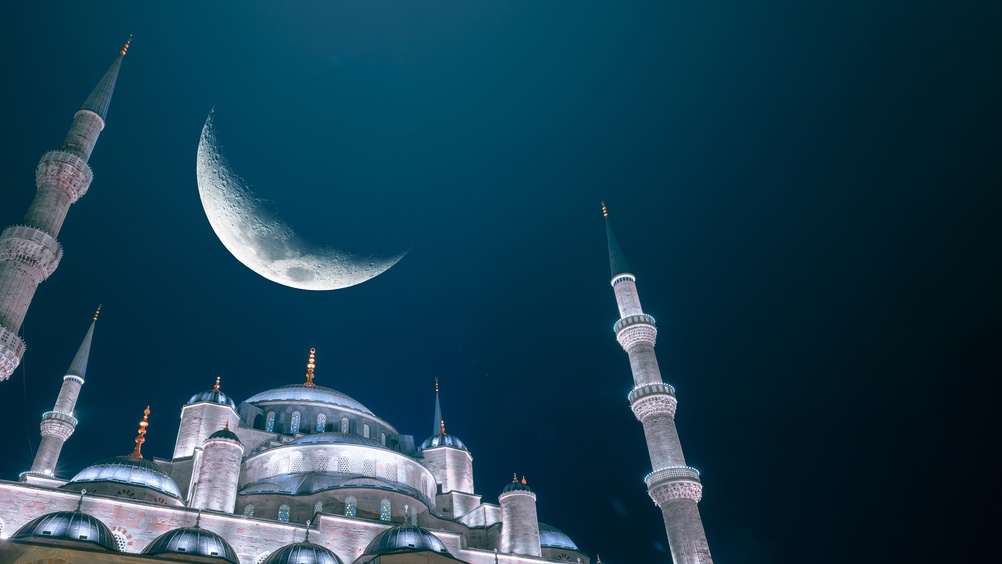 Sener Dagasan/Shutterstock