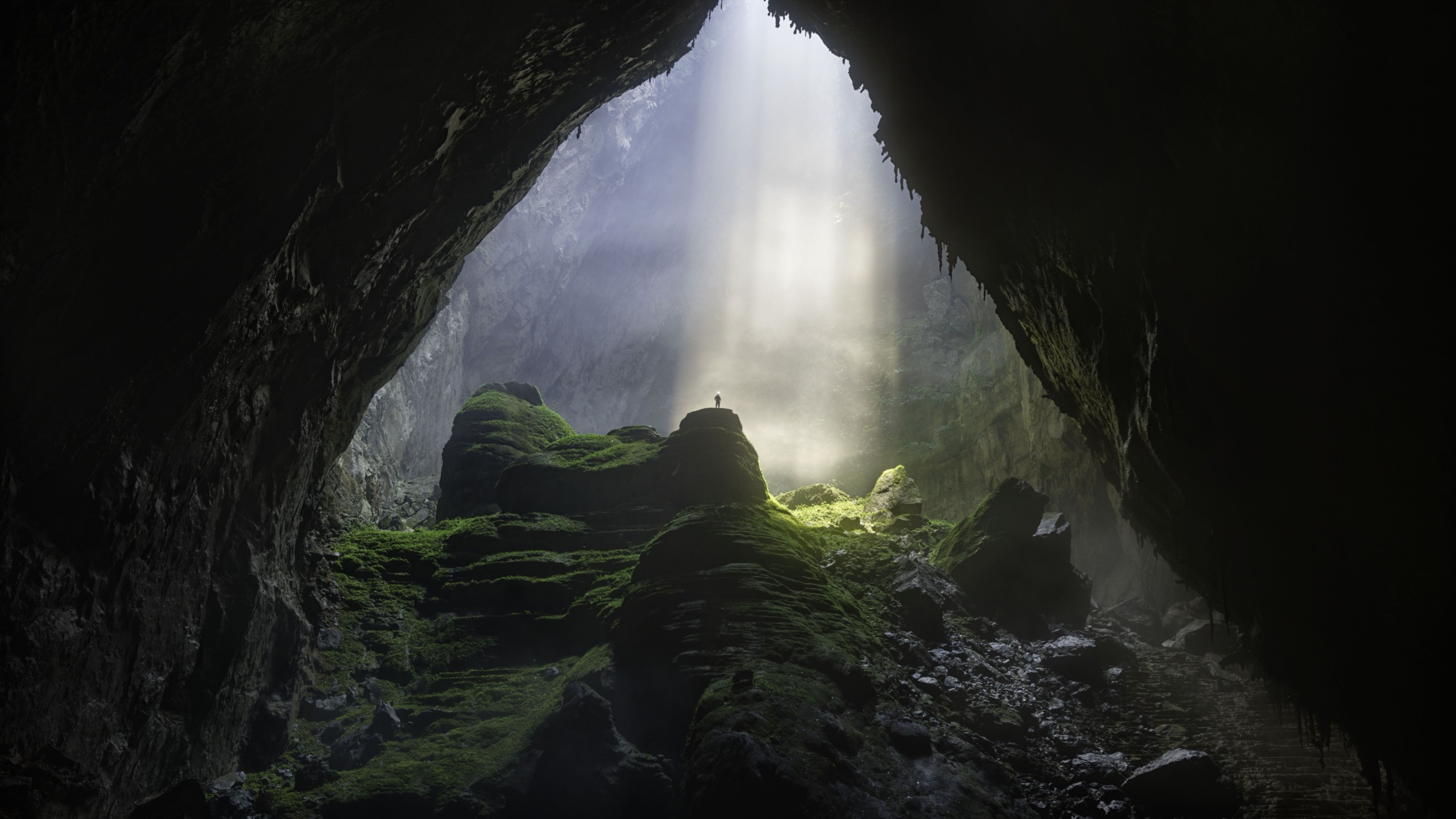 David A Knight/Shutterstock