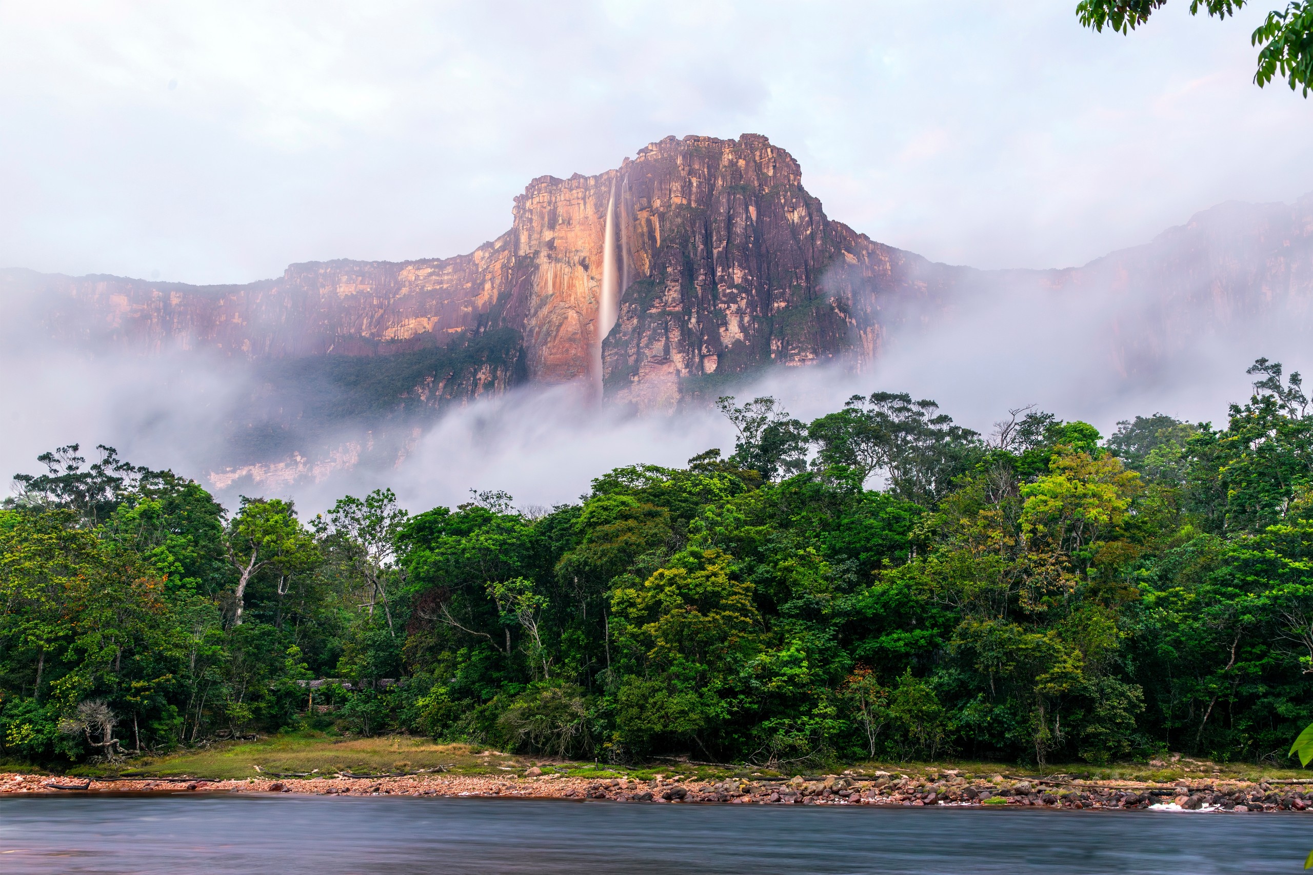 Luiz Antonio Nasser Jr/Shutterstock