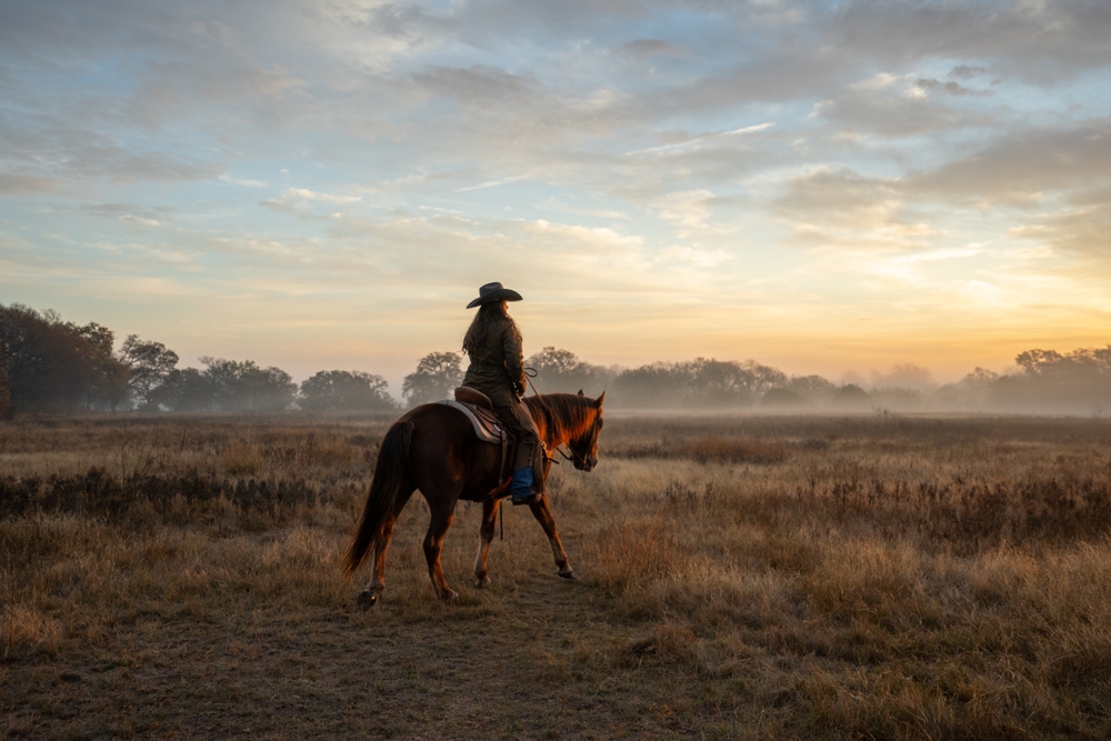 Lone Star Stock / Shutterstock