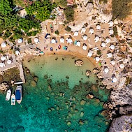 DaLiu/Shutterstock