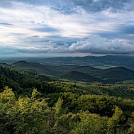 biroedina/Shutterstock