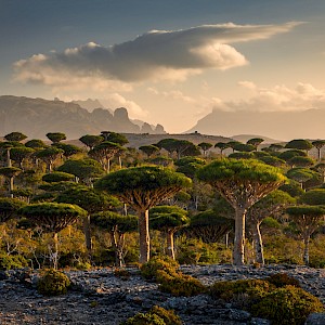 Pawel Uchorczak/Shutterstock