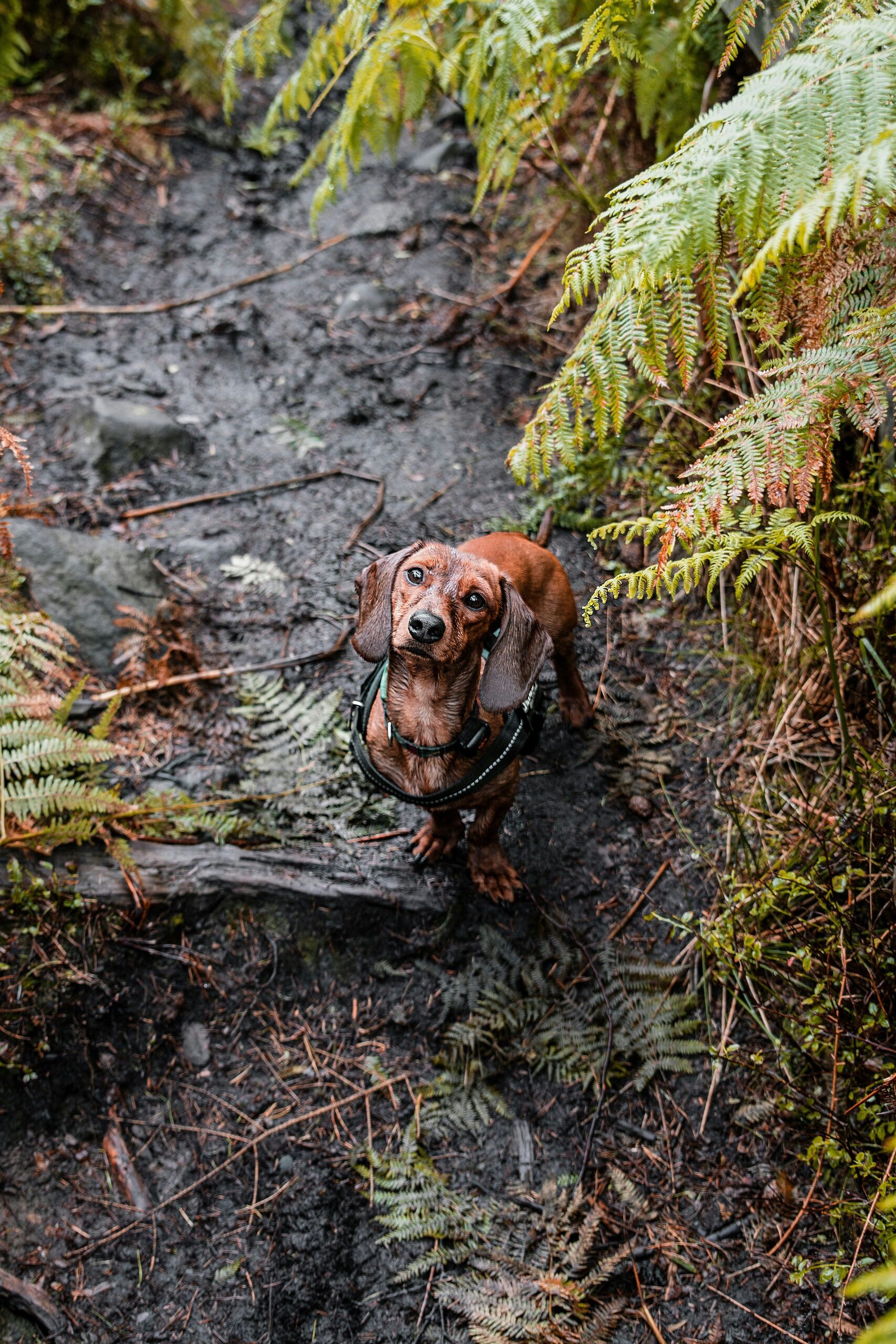Photo by Dan Smedley on Unsplash