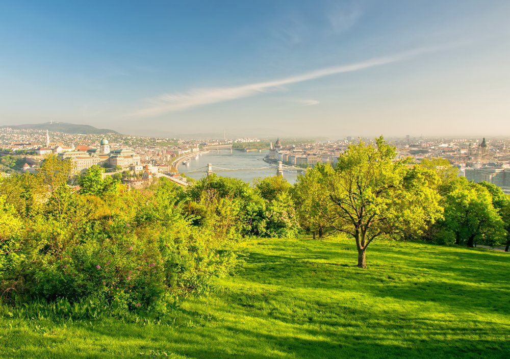Fotó: Shutterstock