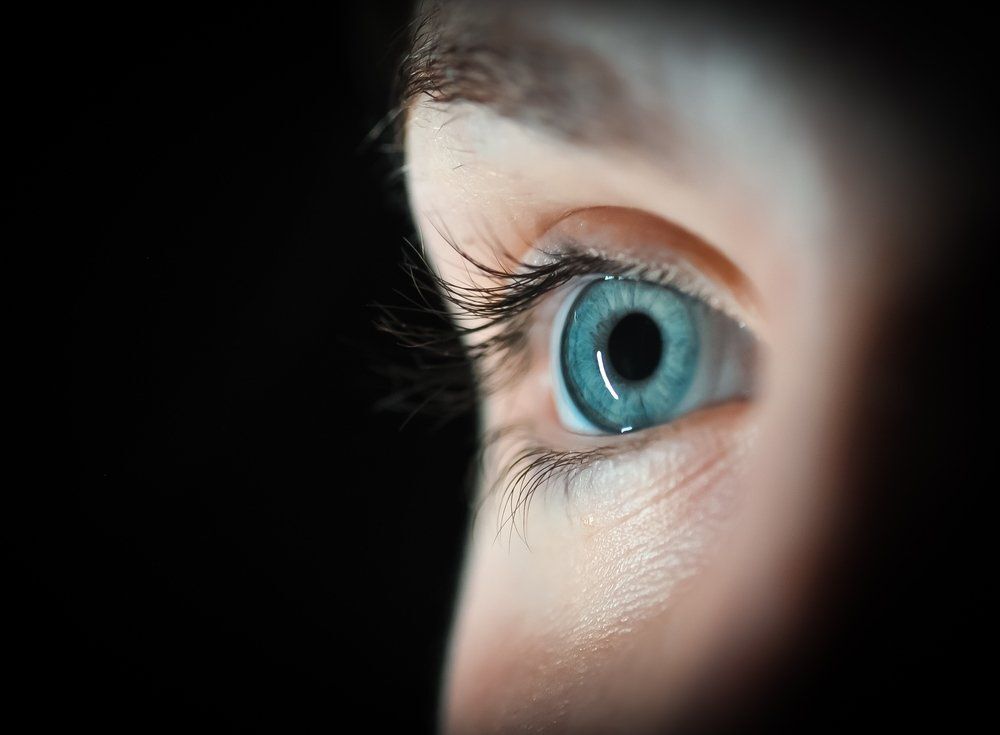Fotó: Shutterstock