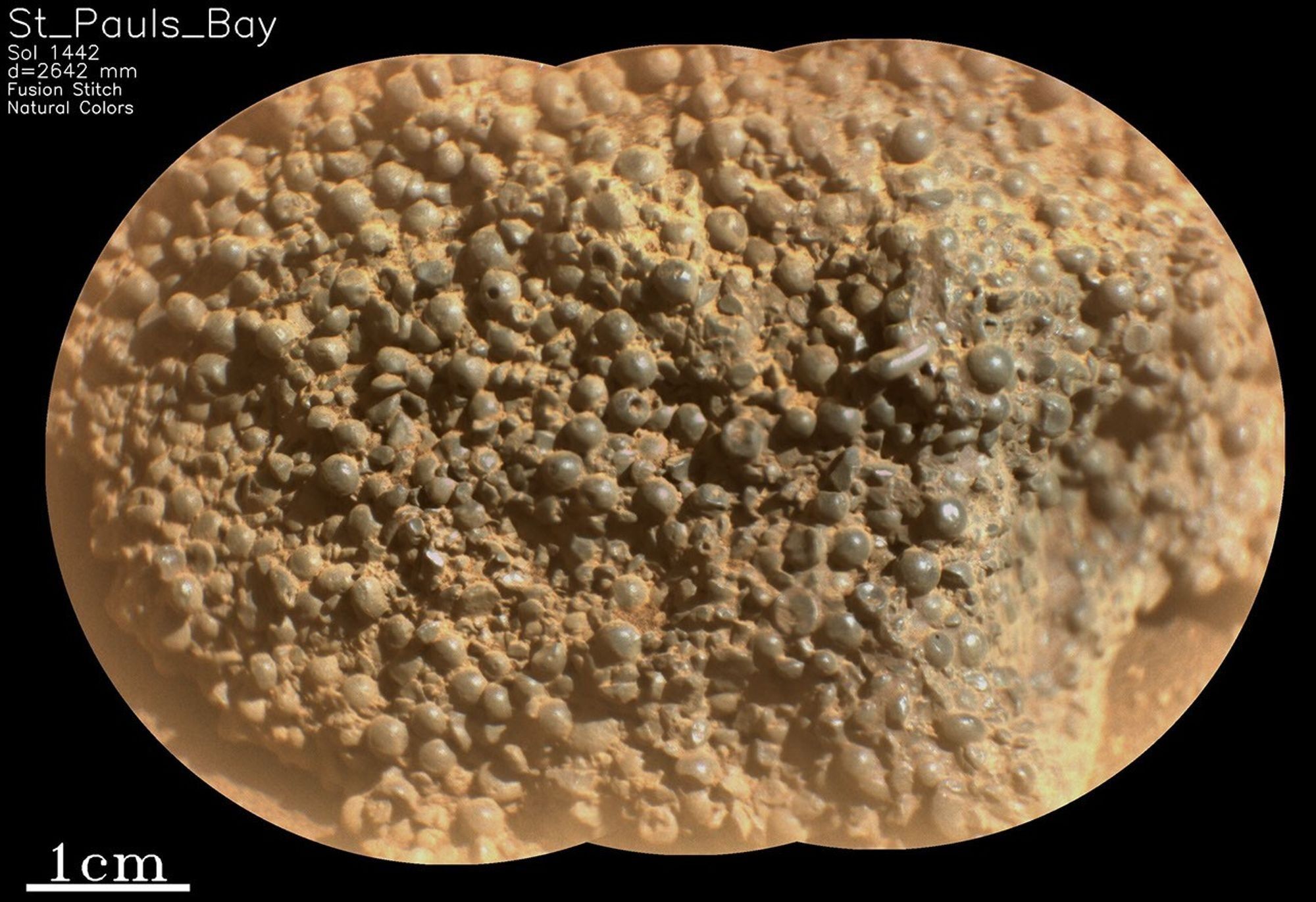 Fotó: NASA/JPL-Caltech/LANL/CNES/IRAP