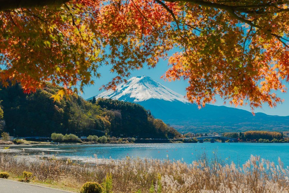 Fotó: Shutterstock