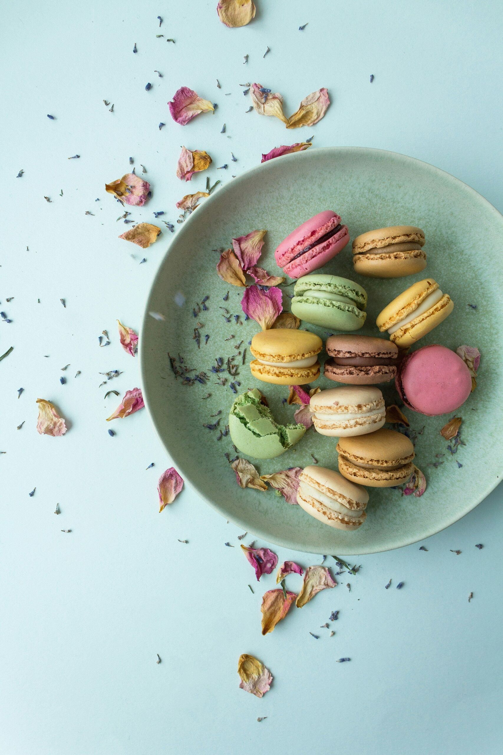 Photo by Keila Hötzel on Unsplash