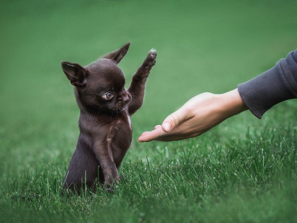 Fotó: Shutterstock