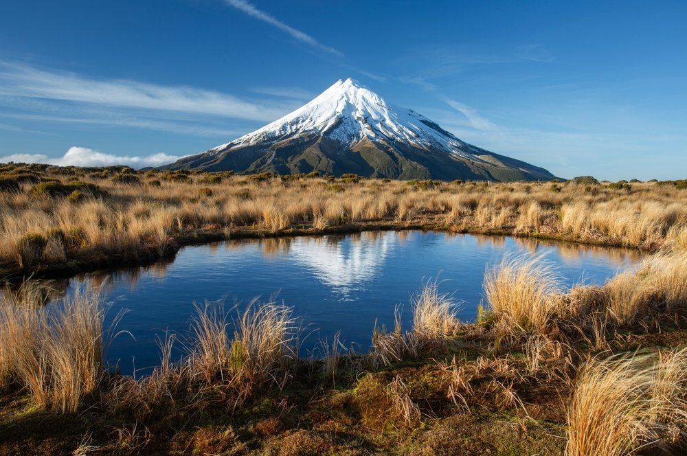 Fotó: Shutterstock