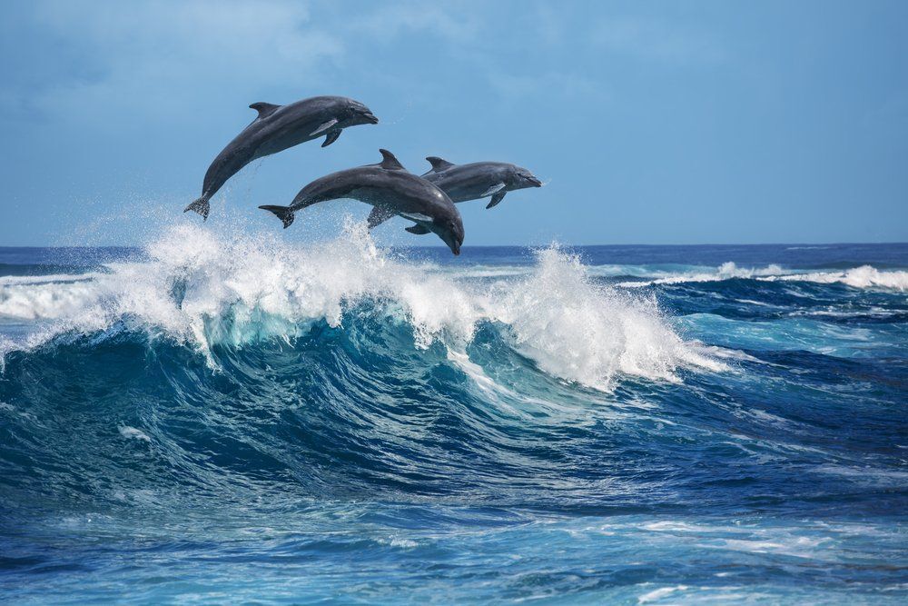 Fotó: Shutterstock