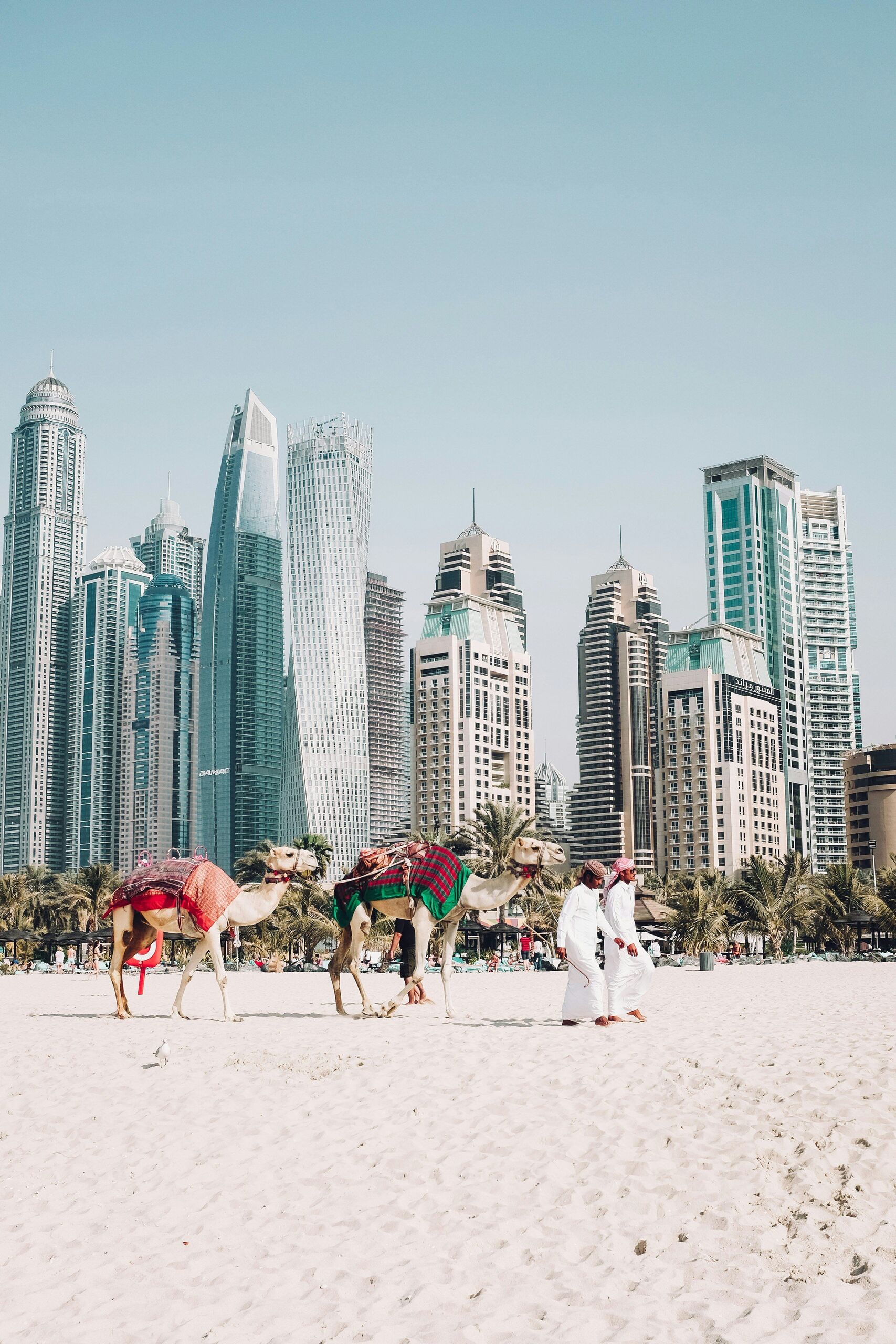 Photo by Fredrik Öhlander on Unsplash
