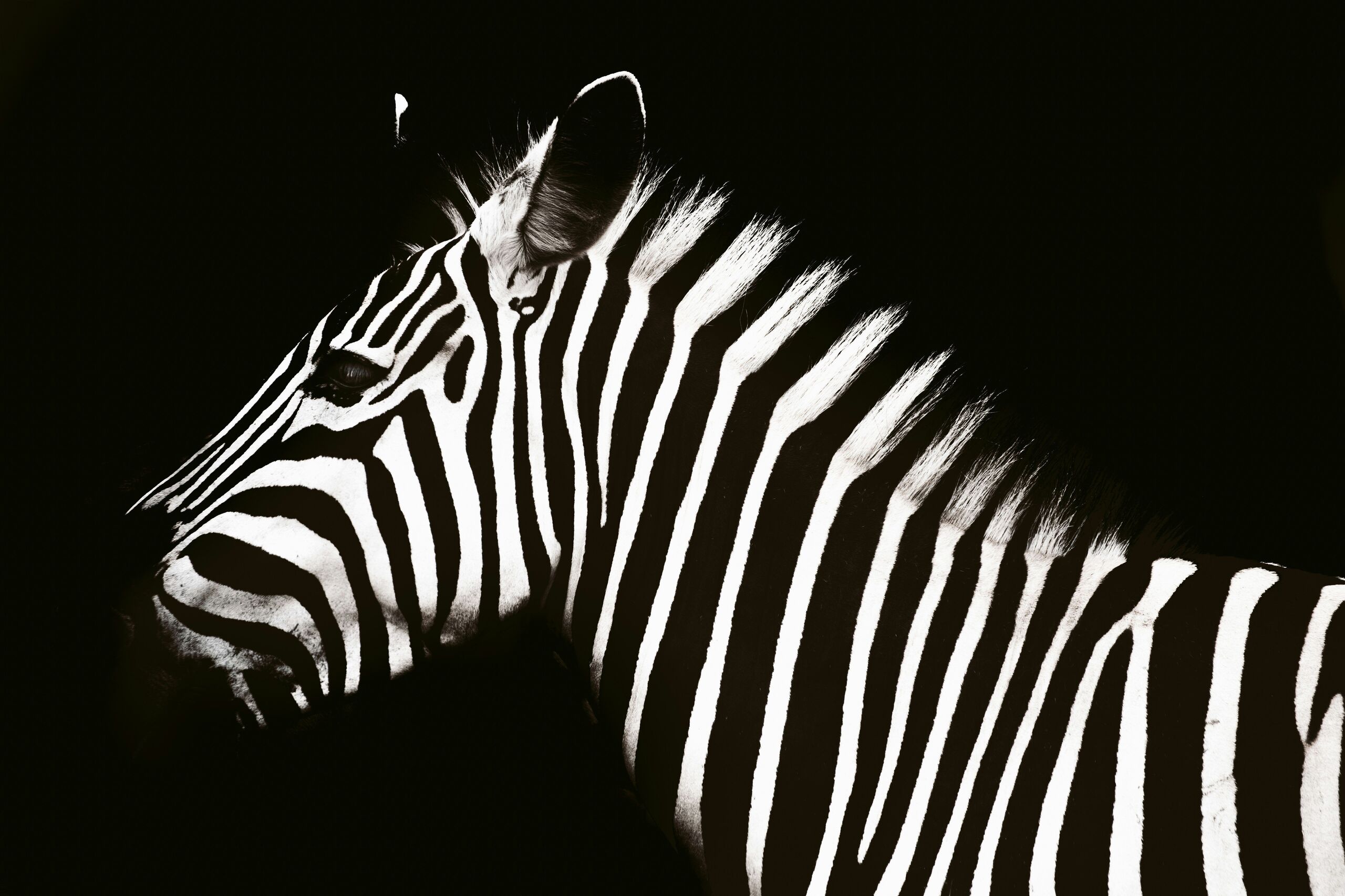 Photo by redcharlie on Unsplash