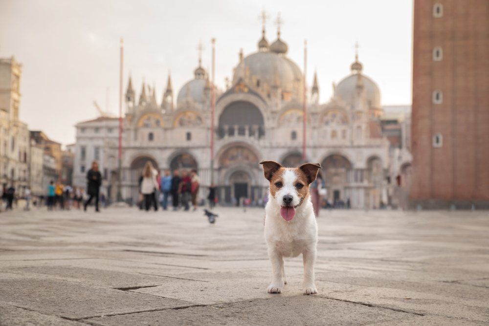 Fotó: Shutterstock