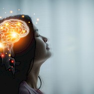 Fot&oacute;: Shutterstock