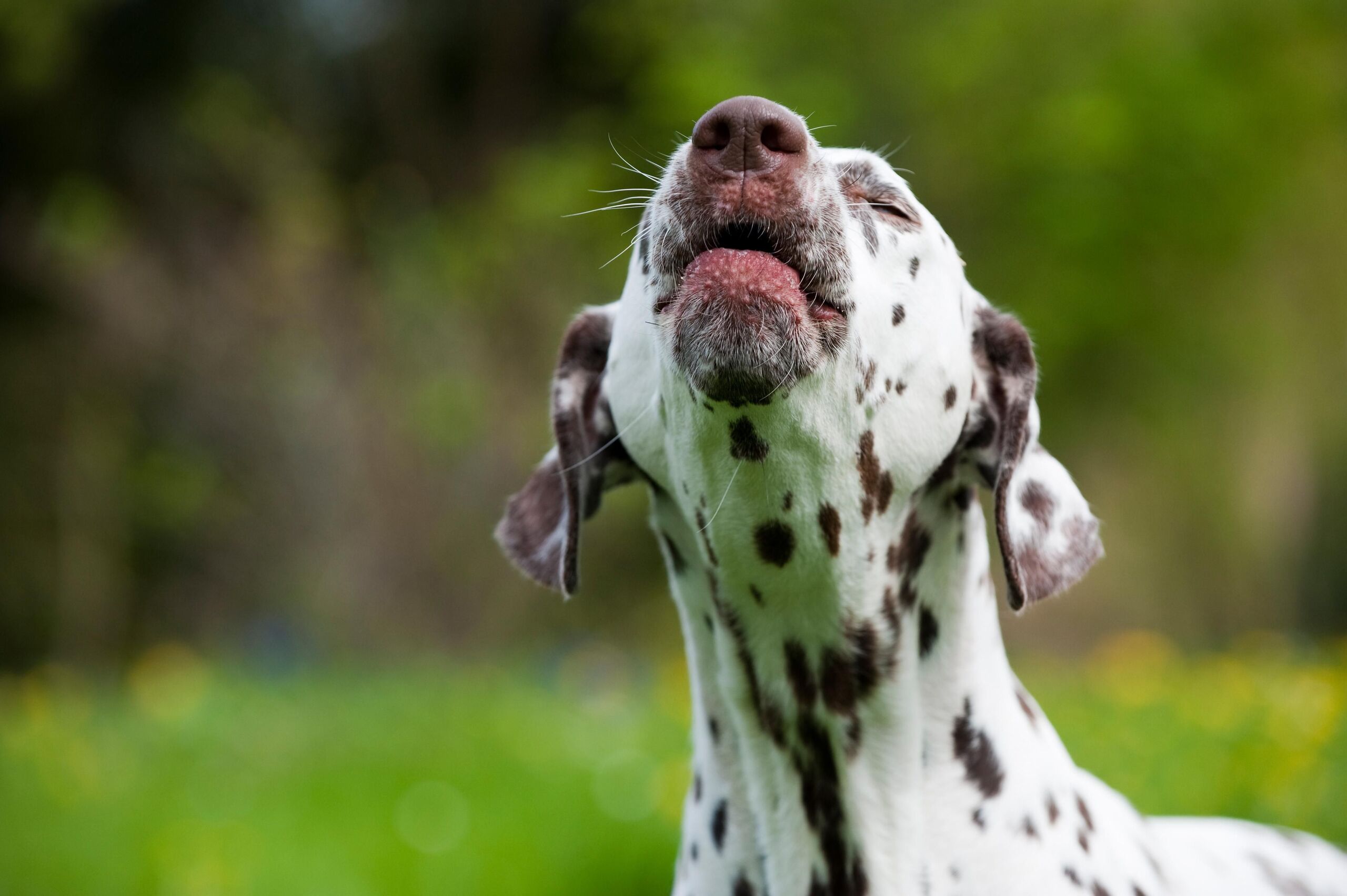 Fotó: Shutterstock
