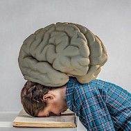 Fot&oacute;: Shutterstock