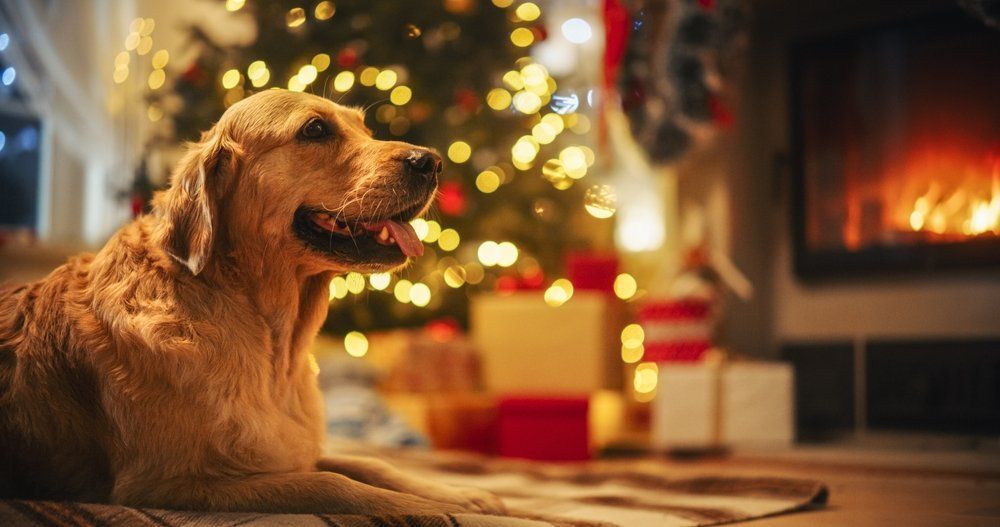 Fotó: Shutterstock