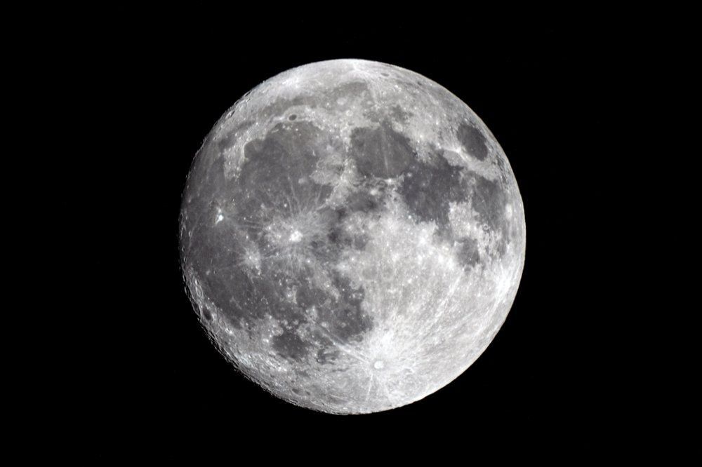 Fotó. Shutterstock