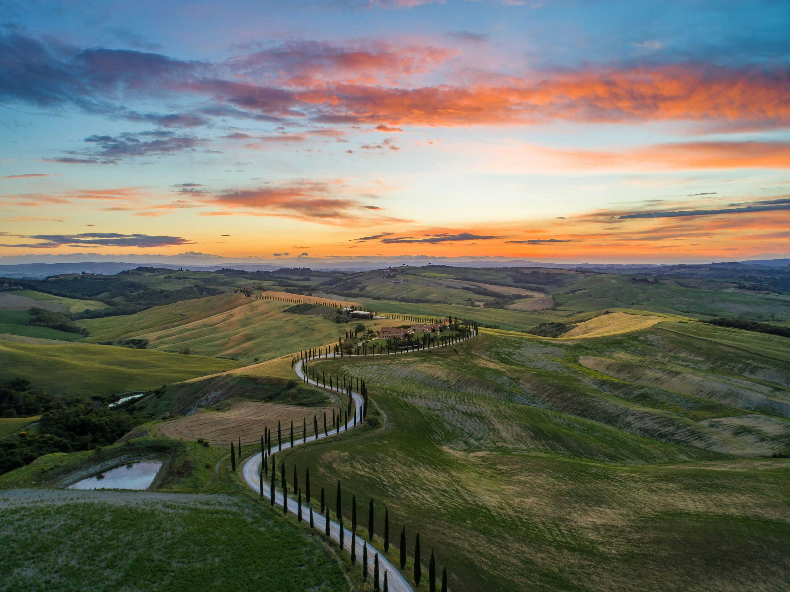 Fotó: Luca Micheli / Unsplash