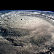 Fotó: Getty Images
