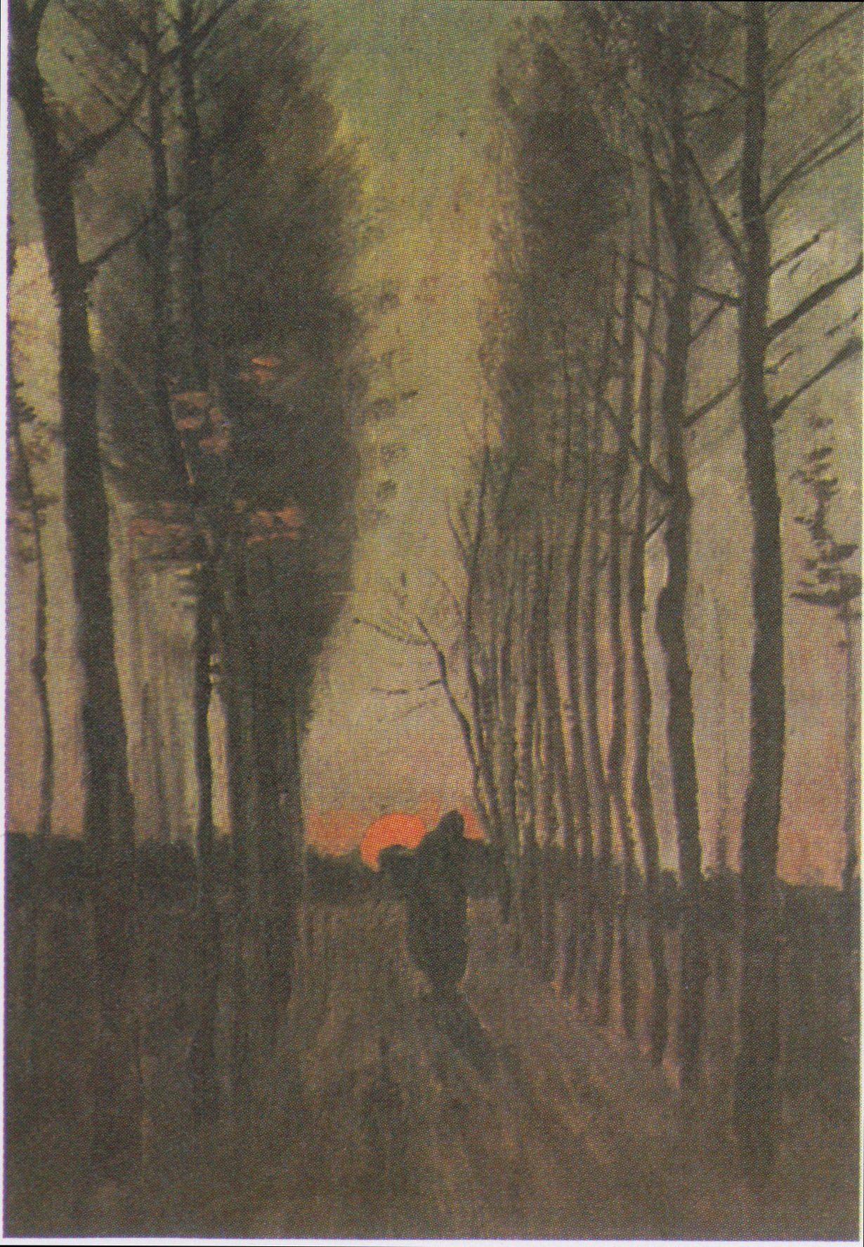Wikimedia Commons