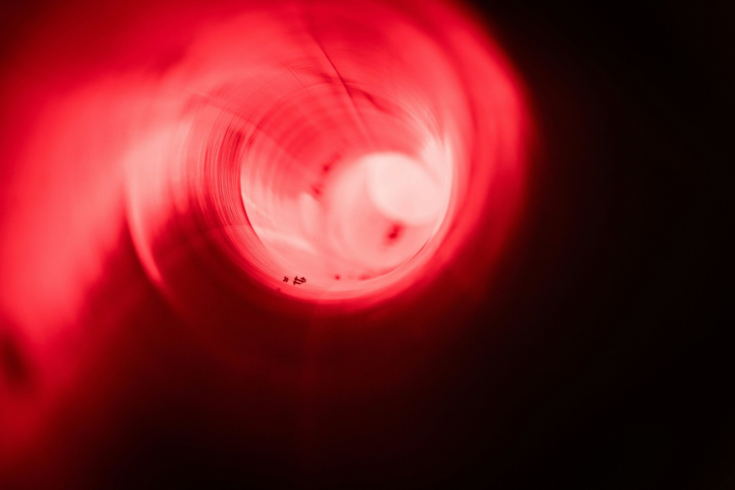 Photo by Pawel Czerwinski on Unsplash