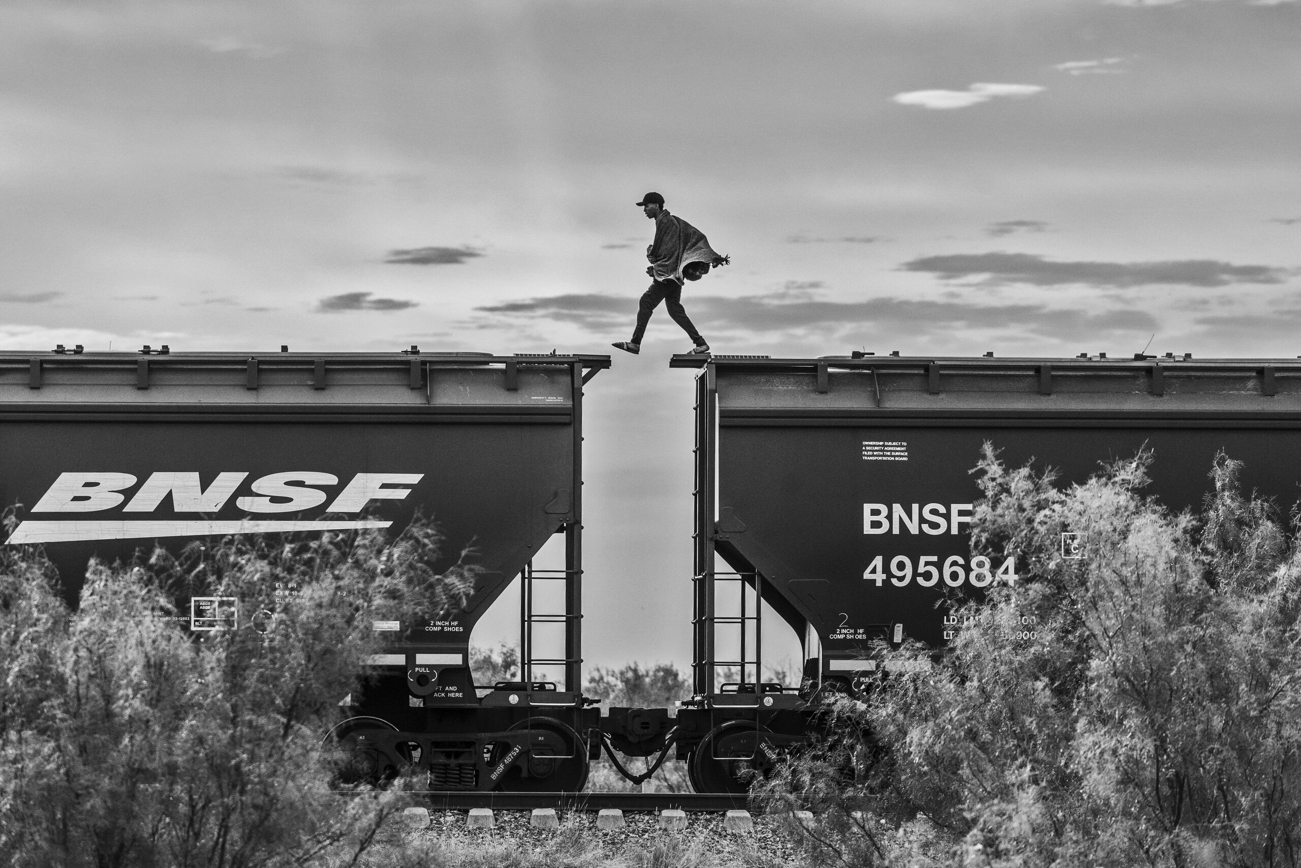 World Press Photo