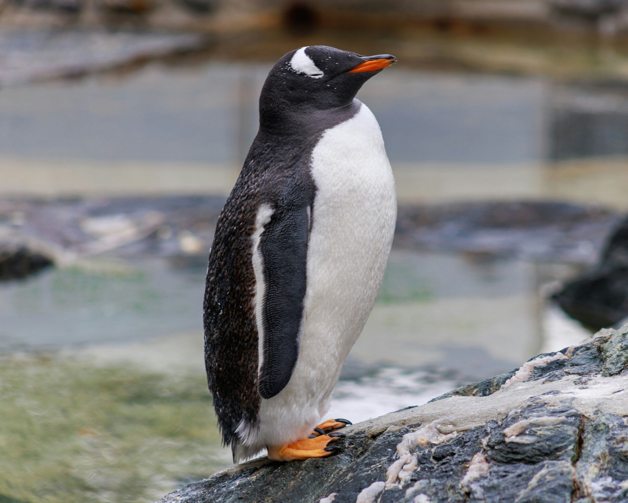 Photo by Peregrine Photography on Unsplash