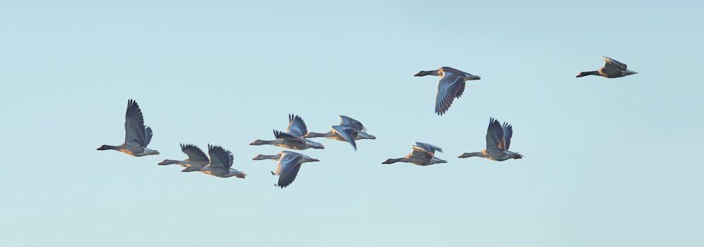 Fotó: Shutterstock