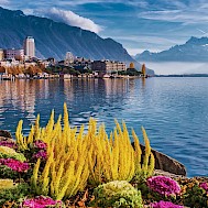 Fot&oacute;: Shutterstock