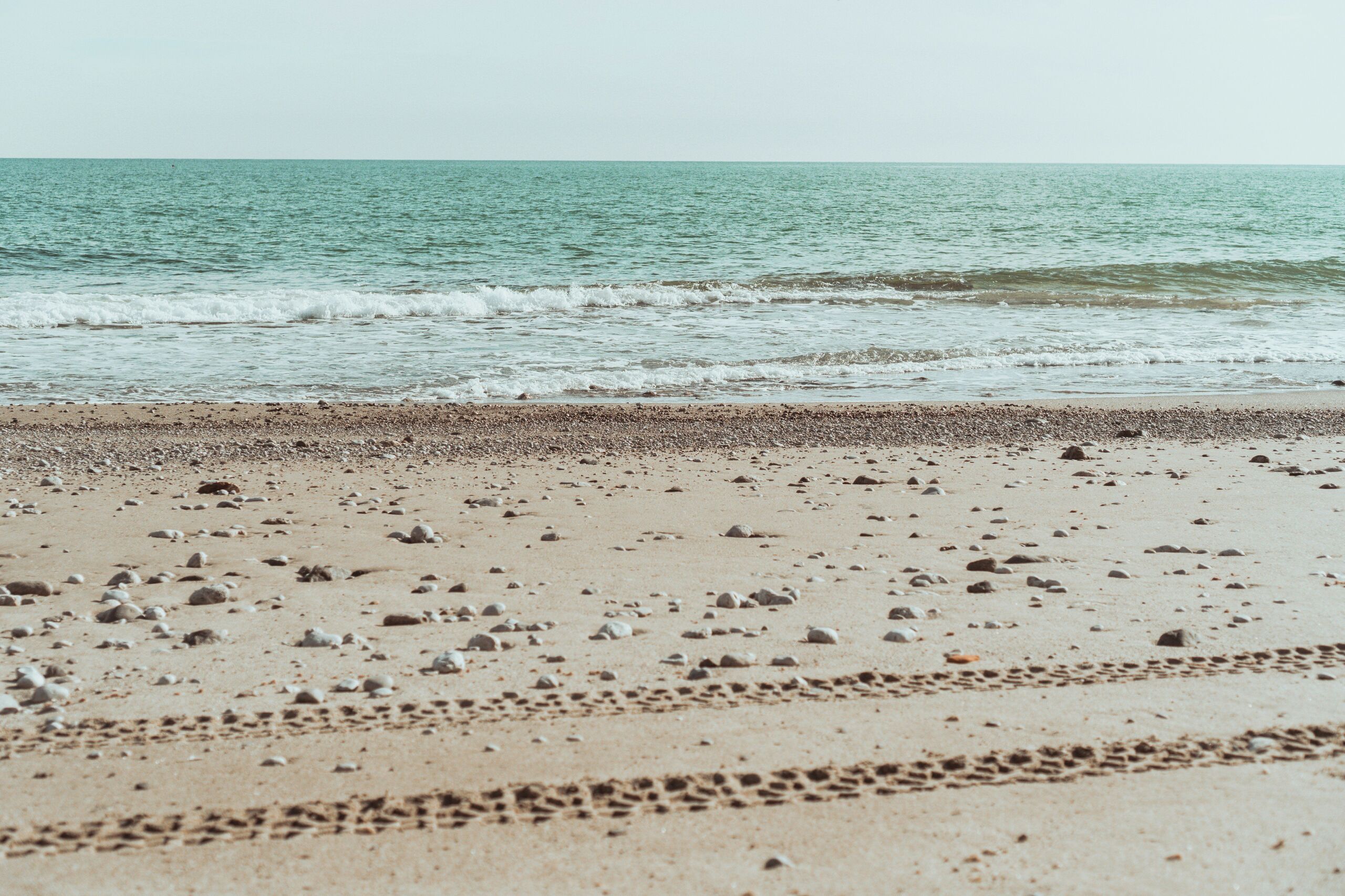 Fotó: Unsplash