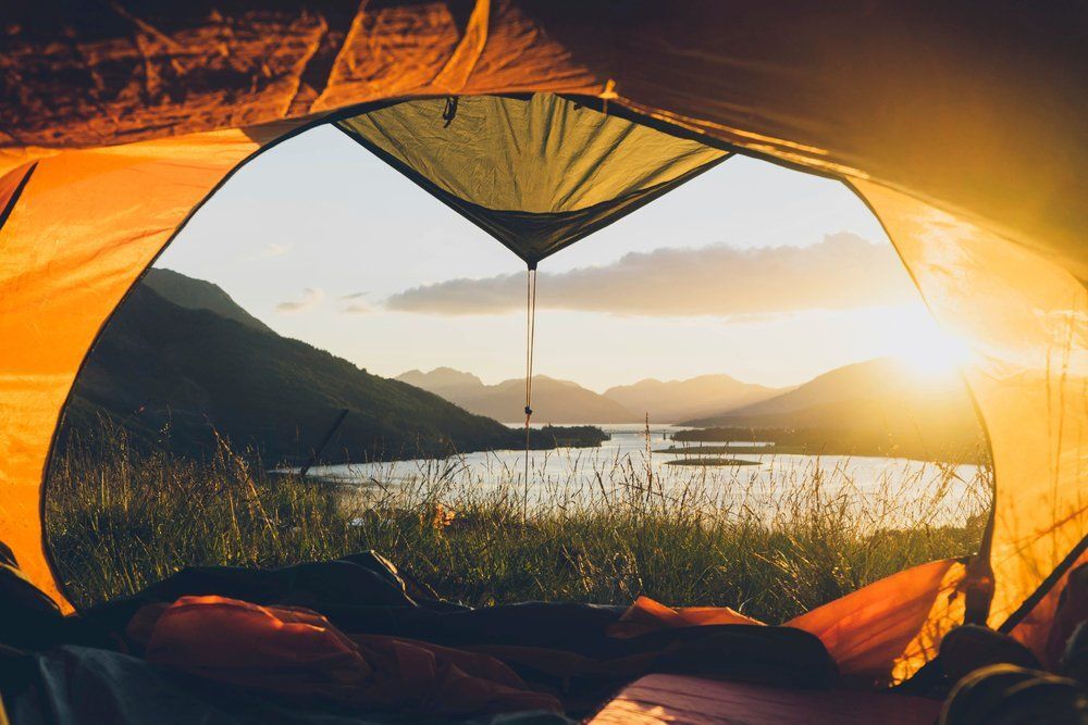 Fotó: Shutterstock