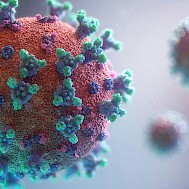 Photo by Fusion Medical Animation on Unsplash