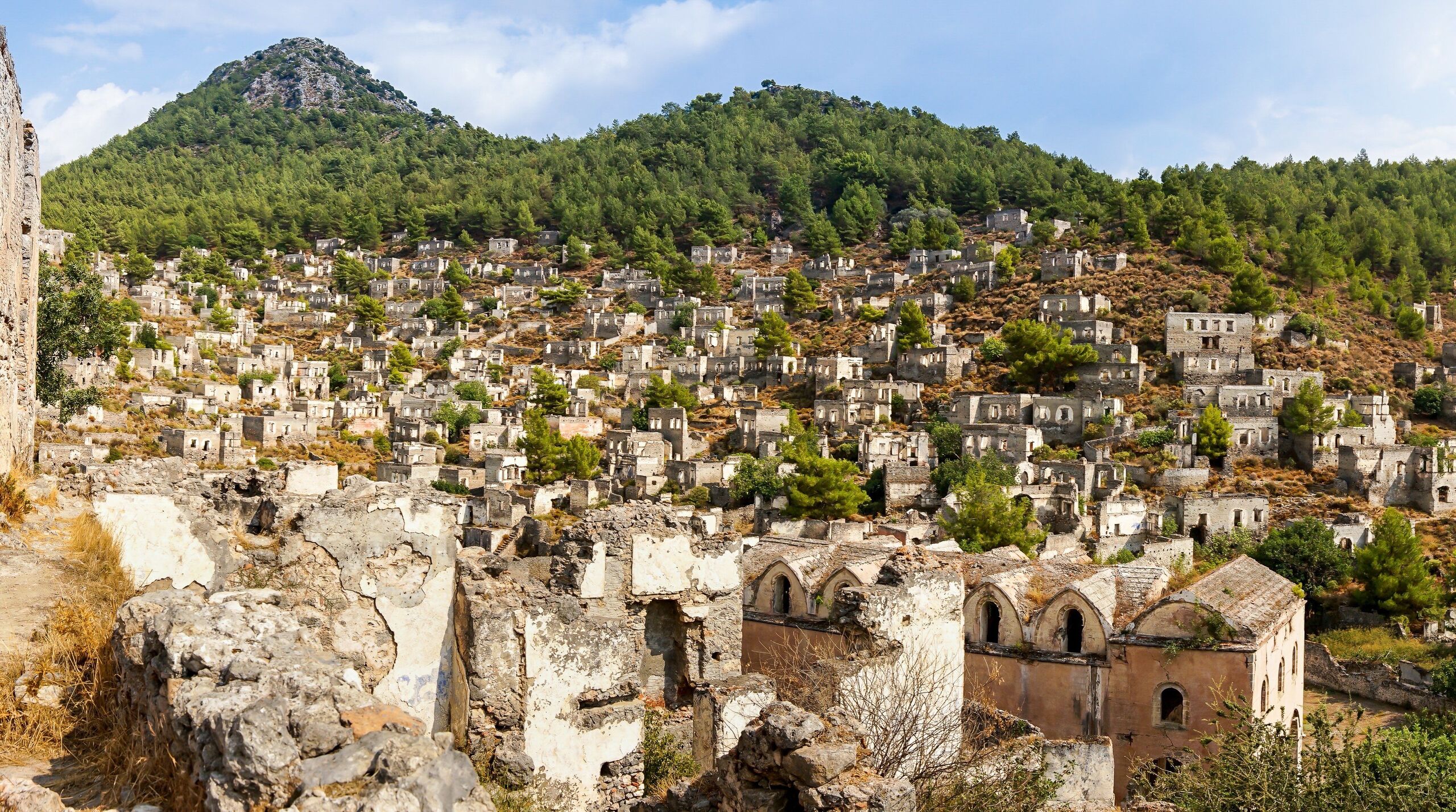 Fotó: Shutterstock