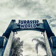Photo by Christopher Stark on Unsplash