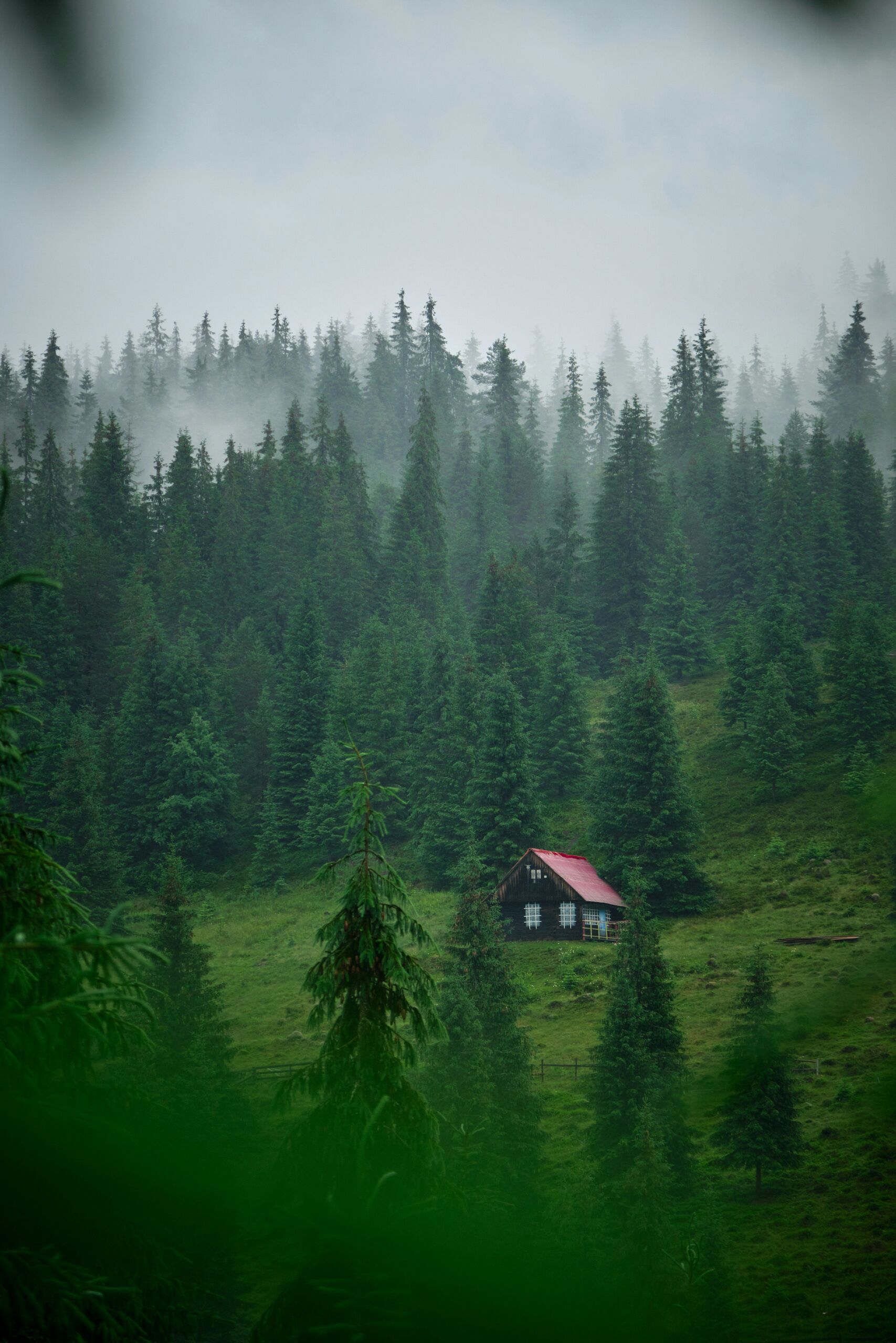 Photo by Adam Hornyak on Unsplash