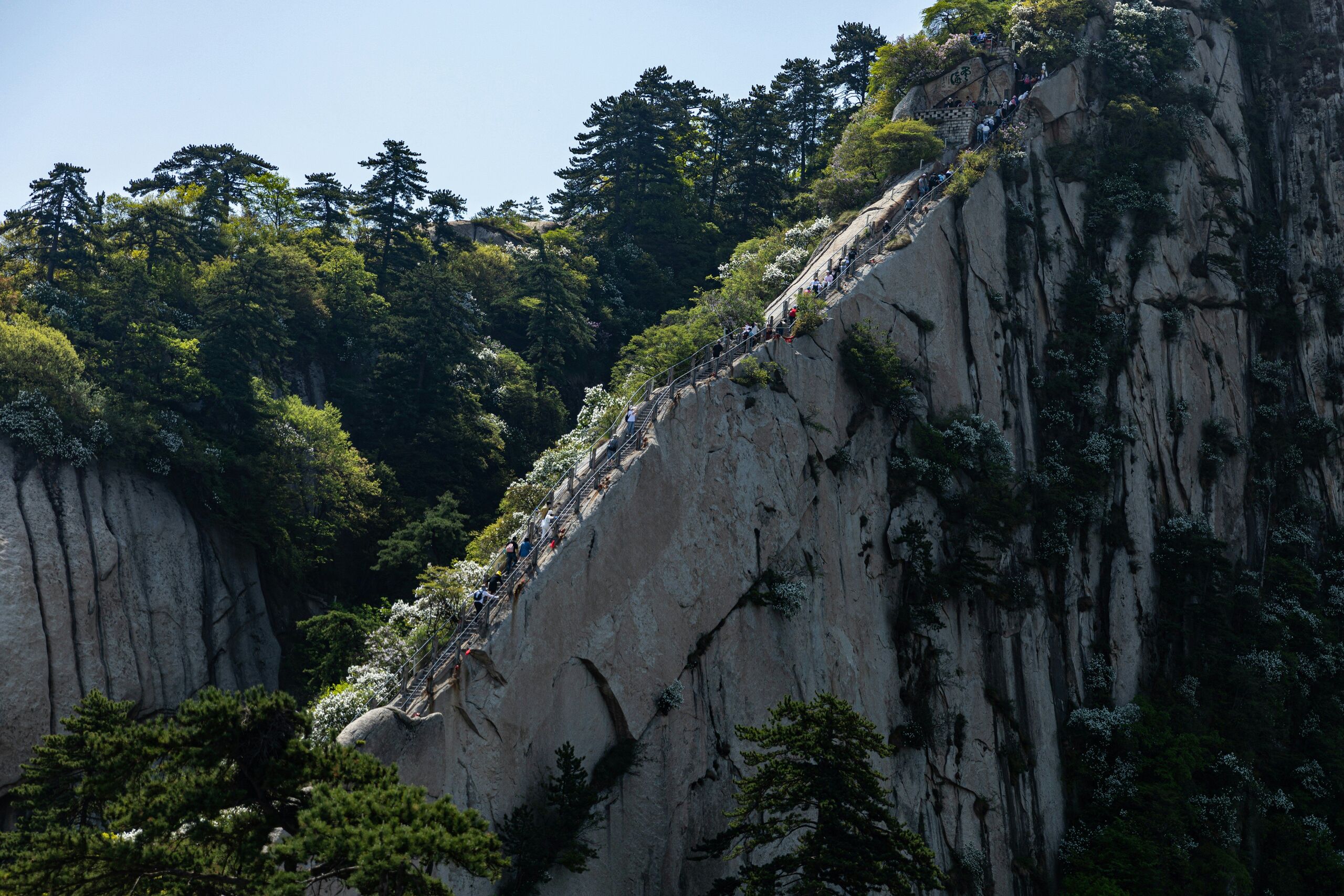 Photo by FEI XIE on Unsplash