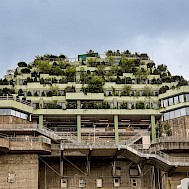 Fot&oacute;: Getty Images