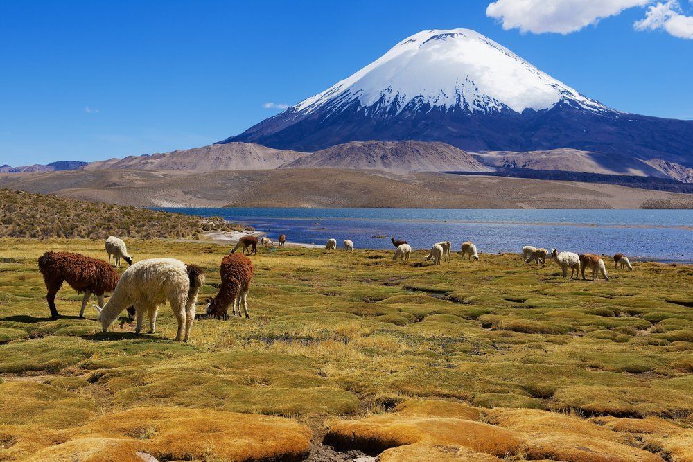Fotó: Shutterstock