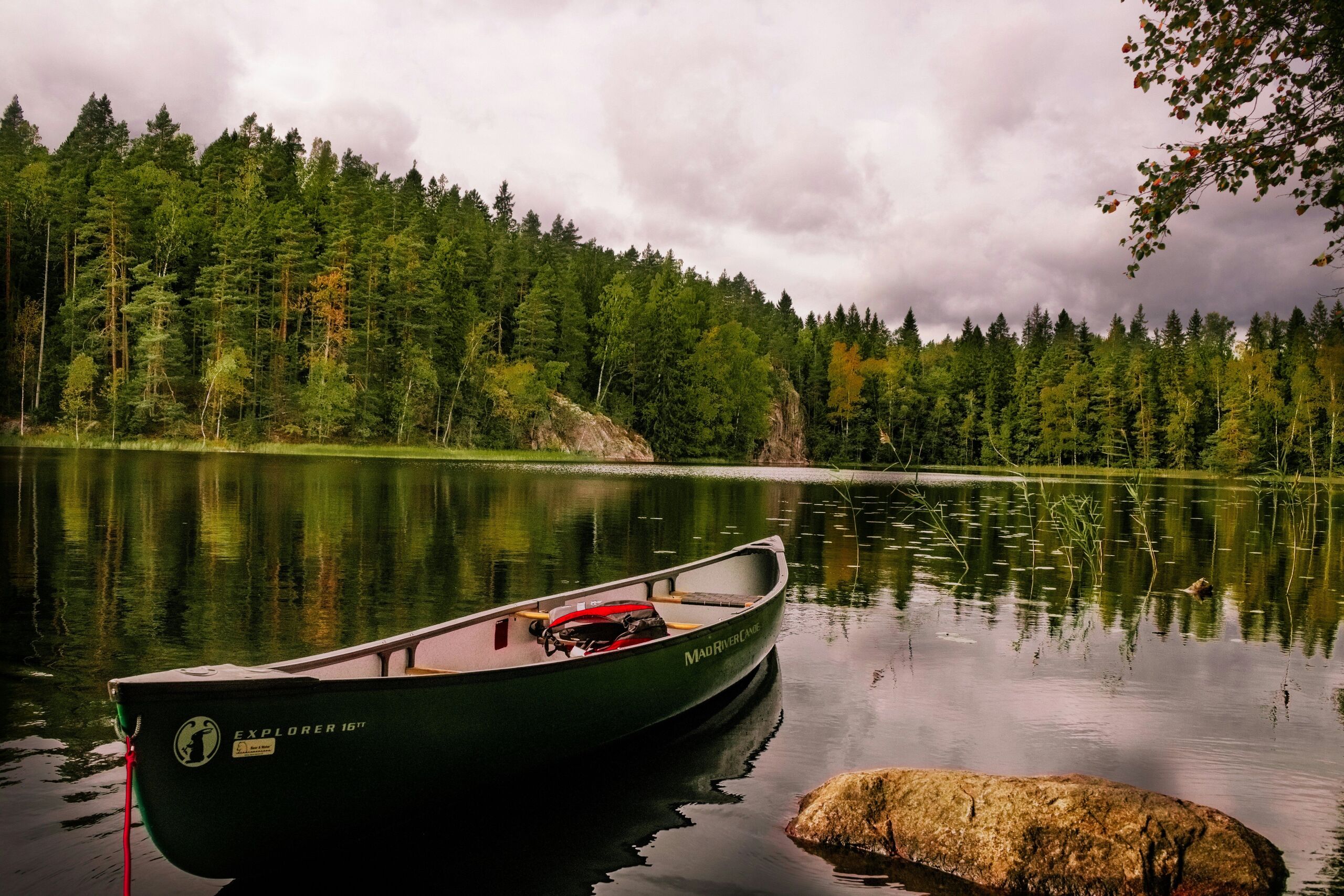 Fotó: Unsplash