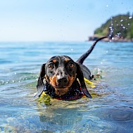 Fot&oacute;: Shutterstock