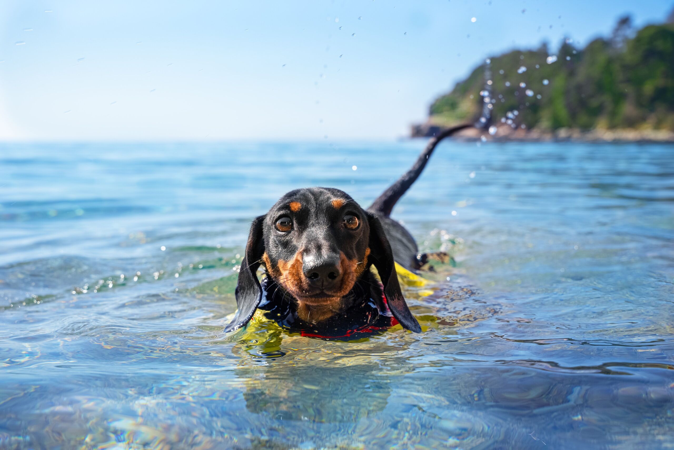 Fotó: Shutterstock